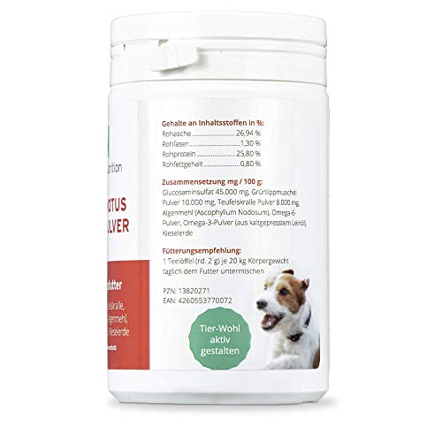 Feddema Canis-Motus Forte Polvo Articulación Suplemento Dietario para Perro con Garra Glucosamina Msm Mejillón I Alimenticio Articulaciones Pequeño 150g, Normal 250g, 2er Pack 2X 250g - Normal