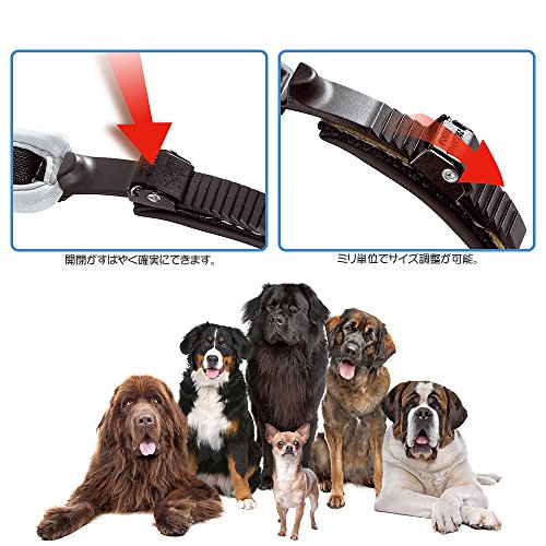 Ferplast Ergocomfort Nylon Padded Dog Collar 34-42cm X 15mm Grey/Black