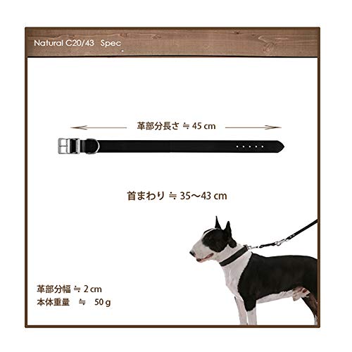 Ferplast Natural BE C20/43 - Collar para Perro, 35-43 cm/20 mm, Color Beige