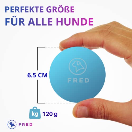 FRED Pelota para perros prémium de caucho natural, muy robusta, color azul, casi irrompible, 6,5 cm de diámetro, incluye práctica bolsa de almacenamiento.
