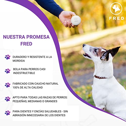 Fred Premium - Pelota para perros (caucho natural, muy robusta, 6,5 cm de diámetro, incluye práctica bolsa de almacenamiento)