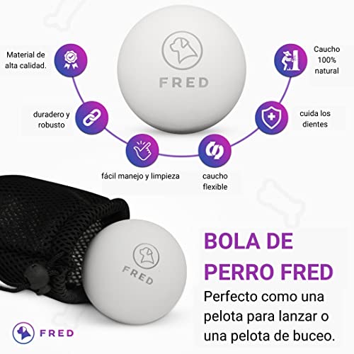 Fred Premium - Pelota para perros (caucho natural, muy robusta, 6,5 cm de diámetro, incluye práctica bolsa de almacenamiento)