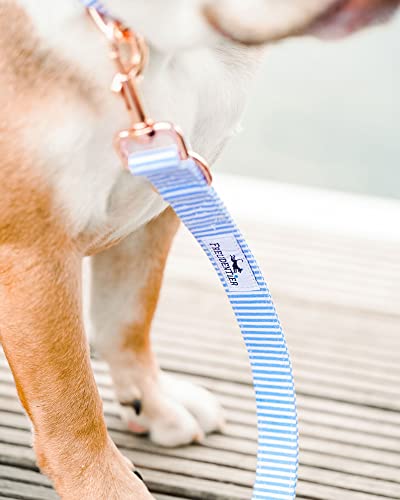 FREUDENTIER® Collar y correa para perros (2 m) en set – Lighthouse colección: estilo nórdico empaquetado en la mejor lona – Incluye paquete de regalo – distribuidor de Hamburgo (azul claro
