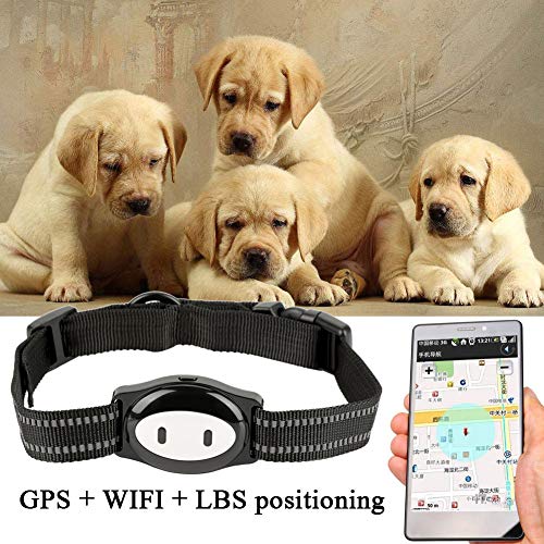 GAESHOW Dispositivo localizador de Collar GPS para Mascotas en Tiempo Real y Monitor de Actividad para Perros y Gatos