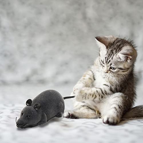 Gidenfly Ratón con mando a distancia, juguete inalámbrico, simulación de ratas realistas, juguete teledirigido Furry Mini RC, inalámbrico, ratón, juguete para gato, gato, perro, mascota