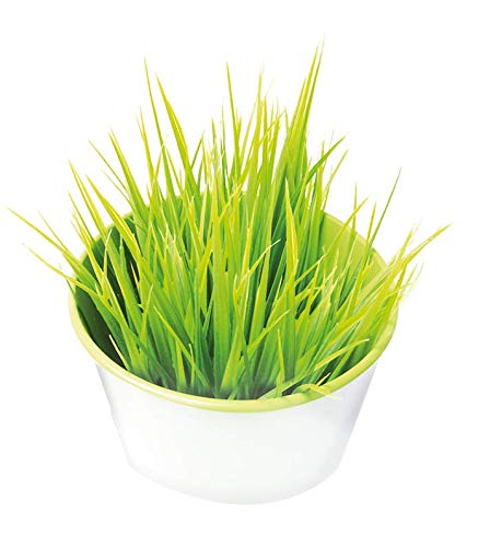 GimCat Gras Bits - Con vitaminas naturales y nutrientes de la hierba deshidratada - Sin azúcar añadido ni cereales - Pack de 6 (6 x 140 g)