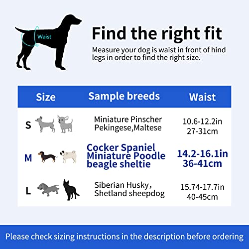 GLAITC Pañales para Perros, 3 Piezas Pañales Lavables para Perros Pañales Reutilizables para Mascotas Fisiológica Pantalón para Perros Masculinos para Perros pequeños, medianos y Grandes M