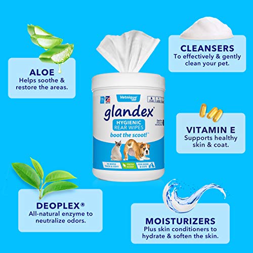 Glandex Toallitas para Mascotas, toallitas higiénicas para Limpiar y desodorizar Las glándulas anales para Perros y Gatos, por Vetnique Labs (100ct)