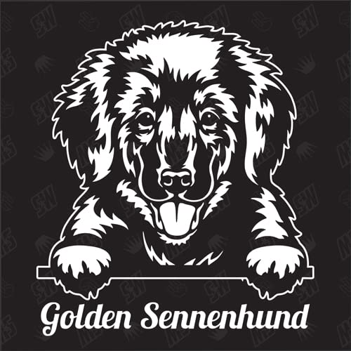 Golden Sennenhund Versión 5 - pegatina, cachorro, pegatina de perro, pegatina de coche, perro, coche, razas de perros, pegatina, mestizo, mezcla, animales, mascota (TAMBIÉN POSIBLE CON DESEADO)