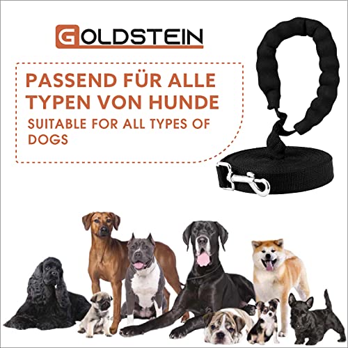 Goldstein Correa de entrenamiento para perros, 10 m de largo, de nailon, con cómodo mango acolchado para mascotas, cachorros, camping, rastreo, caminar, correr
