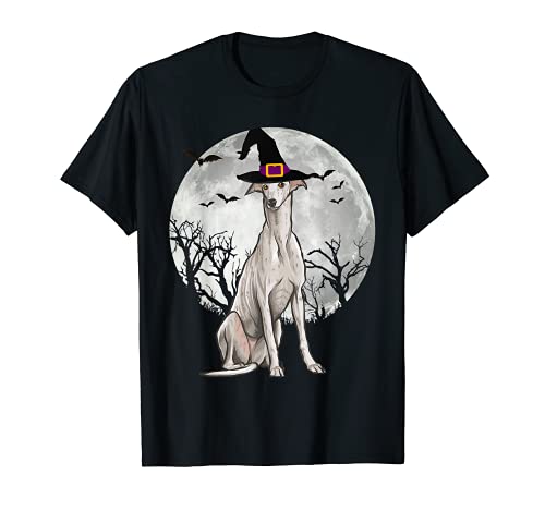 Gorro de Bruja Halloween Galgo Inglés Camiseta
