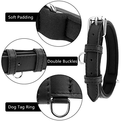Grand Line Collar de Perro de Cuero Duradero Acolchado Suave con Perforador de Agujeros, Negro(L)