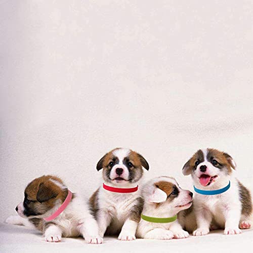 GTIWUNG 15 Pcs Collar de Mascota, Collares Ajustables para Mascotas, Collar de Cachorro Gatito Banda de Identificación de Cachorro Suave y Ajustable,10 * 350mm, Separación con Campanas