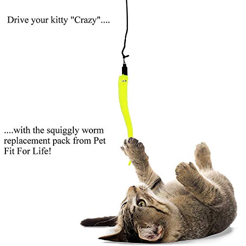 GTRBV Direct Pet Fit For Life - Juego de 5 gusanos de repuesto para varitas de juguete para gatos y gatitos y jackson galaxia, juguete para mascotas