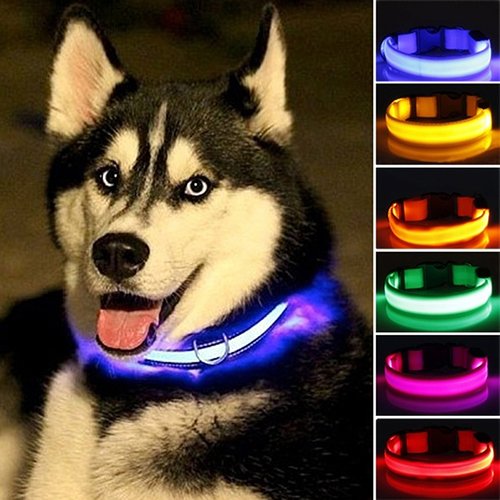 H87yC4ra Collar De Perro LED Luminoso, Luz Intermitente, Collar Ajustable Para Mascotas, Collar De Seguridad Nocturna Para Cachorro, Perro, Gato, Mejora La Visibilidad Y La Seguridad Naranja S