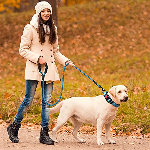 haapaw Collar de perro reflectante acolchado con neopreno suave transpirable ajustable collares de perro de nylon para perros pequeños y medianos grandes