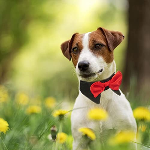 HACRAHO Collar formal con pajarita para mascotas, 1 pieza, negro, ajustable, para cachorros, con lazos, para disfraz, collar formal para perro con lazo rojo para perros pequeños, gatos, L