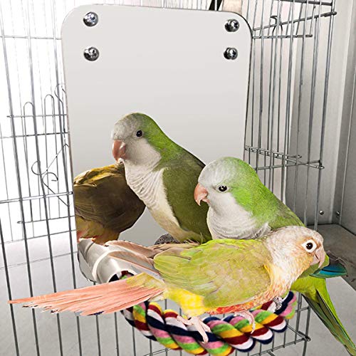 Haokaini Juguete de Espejo de Pájaro con Perca de Cuerda Mordedura de Loro Juguete con Gran Espejo Garra de Loro Perchas Jaula de Pájaros Juguete de Masticar Espejo para Periquito