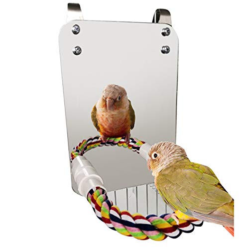 Haokaini Juguete de Espejo de Pájaro con Perca de Cuerda Mordedura de Loro Juguete con Gran Espejo Garra de Loro Perchas Jaula de Pájaros Juguete de Masticar Espejo para Periquito