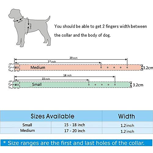 haoyueer Collar de perro de cuero de 1.2 pulgadas de ancho con tachuelas para razas medianas grandes Pitbull Terrier (S, negro)