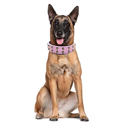 haoyueer Collar de perro de cuero de 1.2 pulgadas de ancho con tachuelas para razas medianas grandes Pitbull Terrier (S, rosa caliente)