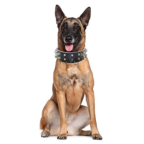 haoyueer Collar de piel con tachuelas para perro con cadena de cadena para Pitbull, tamaño mediano, grande, caña de Corso. Rottweiler. Bully. Amstaff (L, rosa caliente)