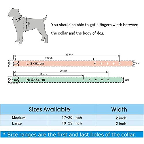 Haoyueer - Collar unisex de piel con tachuelas para perro (tamaño mediano, grande, para Pitbull Doberman, tallas M, L, color blanco