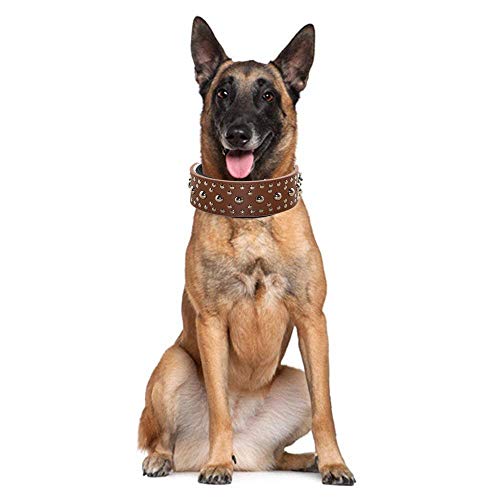 haoyueer Collar unisex de piel con tachuelas para perro, tamaño mediano y grande, para Pitbull Doberman, tallas M L … (M, marrón dorado)