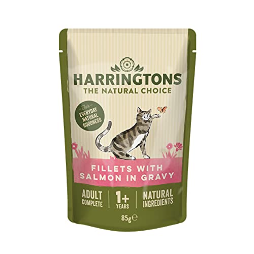 Harrington Comida para Gatos Completa con Pollo y arroz, 2 kg