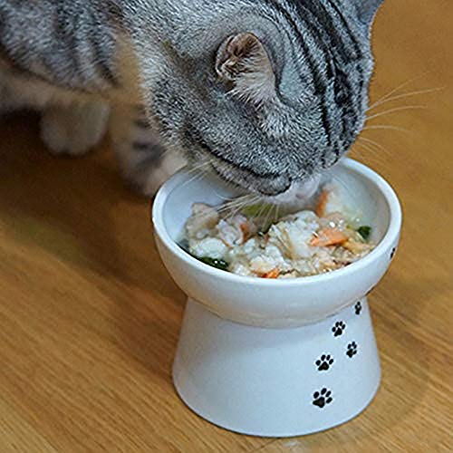 HELEN CURTAIN Criado Cerámica Cat Food Bowl, Gato Elevada Cuencos para Su Comida, La Columna Vertebral del Gato Protect, Elevada Cuenco para Gatos Y Perros Pequeños,Blanco