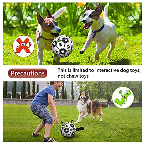 HETOO - Juguetes interactivos de fútbol para perros con lengüetas de agarre, bolas duraderas para perros de raza pequeña y mediana juguete de agua para interior y exterior