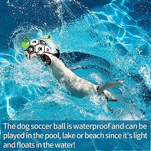 HETOO - Juguetes interactivos de fútbol para perros con lengüetas de agarre, bolas duraderas para perros de raza pequeña y mediana juguete de agua para interior y exterior