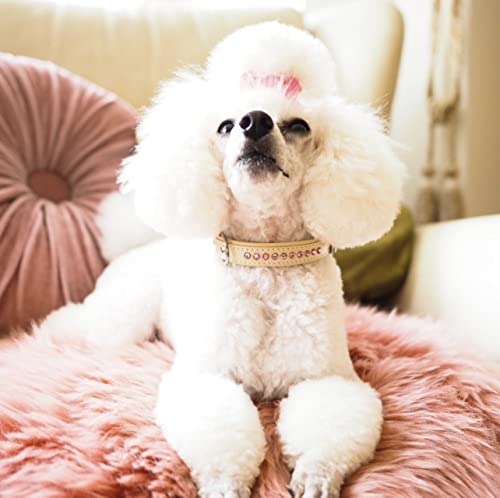 HHH House of Horses - Collar de piel para perro con cristales Swarovski, 40 cm, color rosa