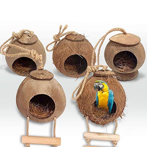 Hkwshop Jaula para pájaros Concha de Coco Jaula de pájaros Decoración de jardín Natural al Aire Libre Creativa Decoración de casa pequeña y cálida Jaula pájaros (Color : C)