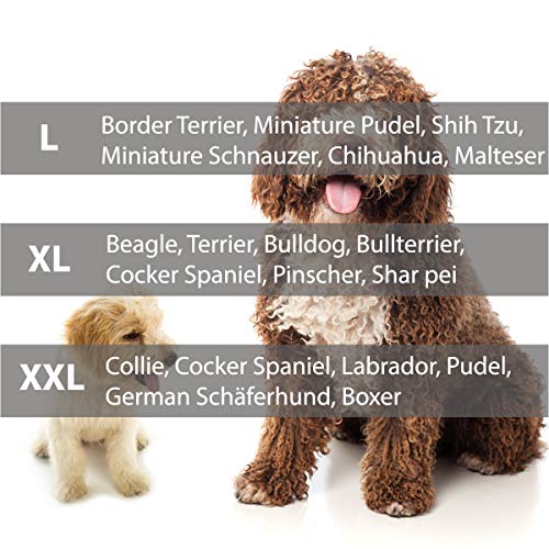 Hobbydog L MELCZG1 Medico Lux - Cama para Perros (Piel sintética) con colchoneta viscoelástica Ortopédica, L, Color Negro y Gris