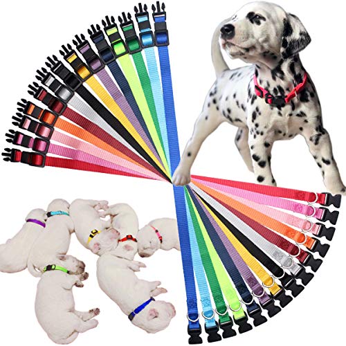 HOLLIHI - Juego de 14 collares de identificación para cachorros de nailon suave para cachorros con cartas de registro y cuello de 17,8 cm - 26 cm