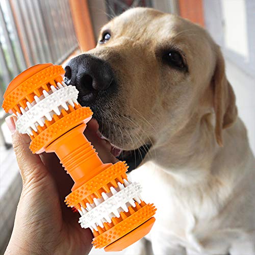 HORYDIA Juguetes para Masticar Perros Indestructibles Juguetes de Caucho Natural para Perros Medianos y Grandes Cuidado Dental y Limpieza de Dientes.