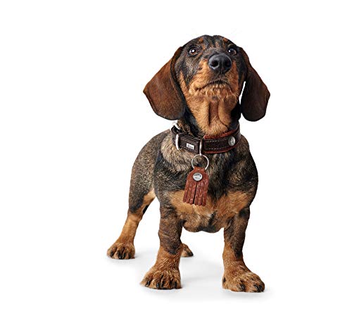 HUNTER Cody Comfort - Collar para Perro de Piel, rústico, Talla 35 (XS-S), Color marrón Oscuro y coñac