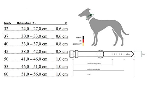 Hunter Collar de Perro de Cuero de Alce Redondo y Suave, Chile, ajustabilidades 46-51cm