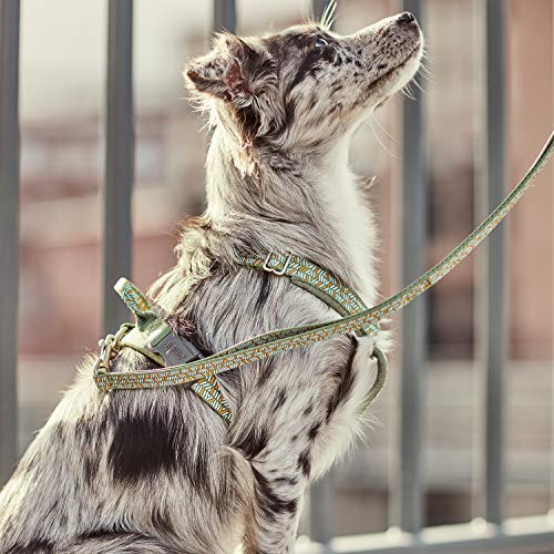 Hurtta Razzle-Dazzle - Arnés acolchado para perro (100% poliéster reciclado, 55-65 cm), color negro