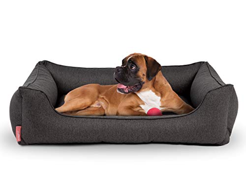 Hyggins Cama para perros Dreamer Plus, ortopédica, funda extraíble y lavable, suelo impermeable (S 60 x 44 cm, gris oscuro)