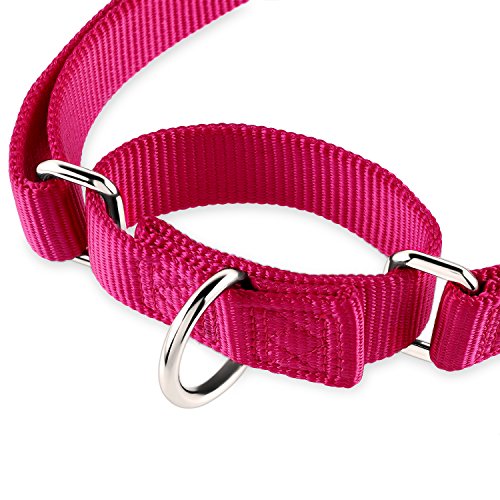 Hyhug Collar de Perro Grande para niños y niñas Stingdy Martingale Resistente a la Fuga - Uso Diario para Caminar (Grande L, Rosa roja)