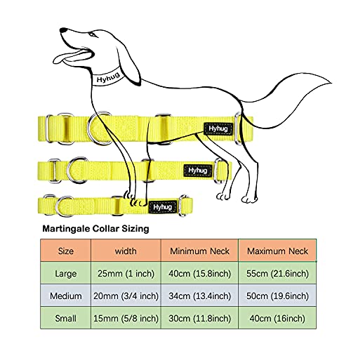 Hyhug Premium actualizado Cuello de Perro Martingale antivaho de Nylon Resistente para Perros Grandes, pequeños, medianos, pequeños y pequeños (Grande L, Amarillo Iluminado)