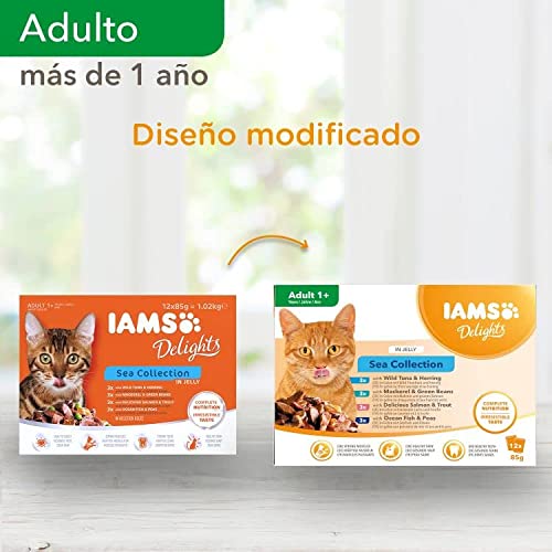 IAMS Delights Sea Collection Alimento húmedo en gelatina - para gatos adultos con diversos sabores a pescado 12 x 85g
