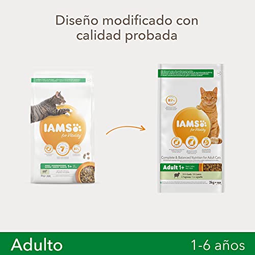 IAMS for Vitality Alimento seco para gatos adultos con cordero (1-6 años), 3 kg