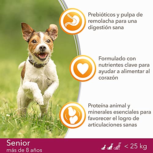 IAMS for Vitality Alimento seco para perros de edad avanzada (más de 8 años) de raza pequeña y mediana con pollo fresco, 5 kg