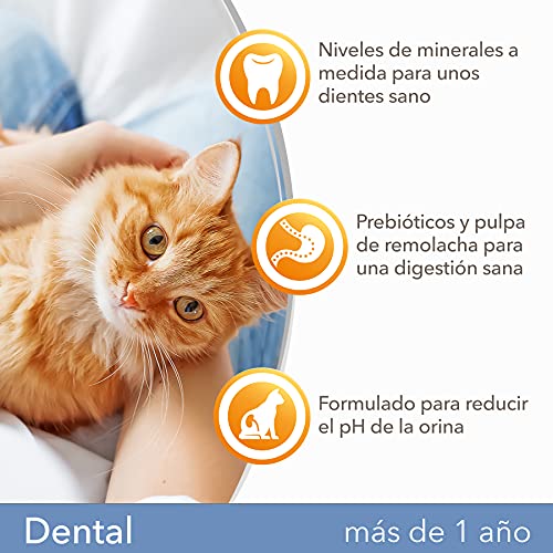 IAMS for Vitality Dental - Alimento seco para gatos adultos y de edad avanzada (más de 1 año) con pollo fresco, 3 kg