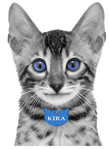 Iberiagifts - Placa en Forma de Cara de Gato para Gatos de Todas Las Edades Chapa Medalla de identificación Personalizada para Collar Perro Mascota grabada (Rojo)