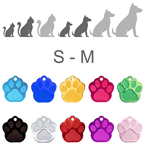 Iberiagifts - Placa en Forma de Huella para Mascotas pequeñas-Medianas Chapa Medalla de identificación Personalizada para Collar Perro Gato Mascota grabada (Dorado)