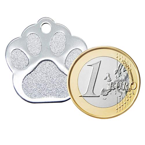 Iberiagifts - Placa en Forma de Huella para Mascotas pequeñas-Medianas Chapa Medalla de identificación Personalizada para Collar Perro Gato Mascota grabada (Dorado)